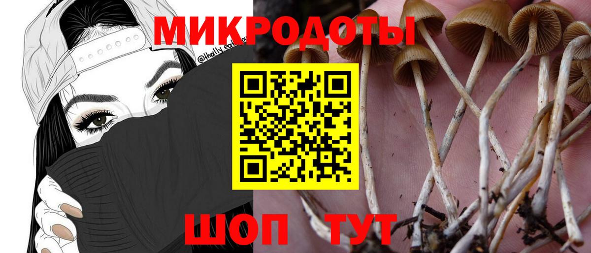 Псилоцибиновые грибы прущие грибы Дивногорск